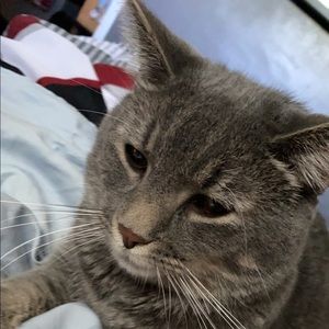 Meet your Posher, Matthew